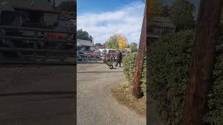 Dog attacks police officer gets tased [upl. by Notlad]