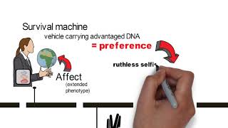 Dawkins Selfish Gene Summary and Ramifications [upl. by Lladnik]