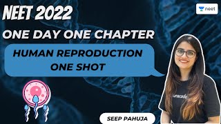 Human Reproduction  One Shot  One Day One Chapter  NEET 2022  Seep Pahuja  Unacademy NEET [upl. by Estele906]