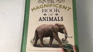 Tour Of The Magnificent Book Of Animals [upl. by Mandi]