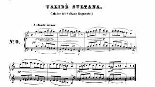 C Guatelli  Validè Sultana  arr E Araci   1856 [upl. by Sikata992]