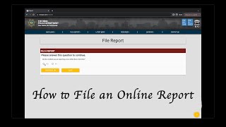 How to File an Online Report [upl. by Etiuqram]