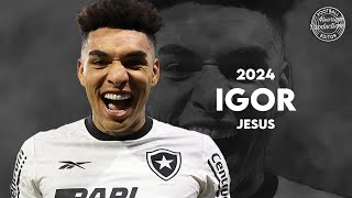 Igor Jesus ► Botafogo FR ● Goals and Skills ● 2024  HD [upl. by Oballa]