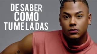 Hector La Ley  Ella Me Motiva Lyric Video [upl. by Selmore]