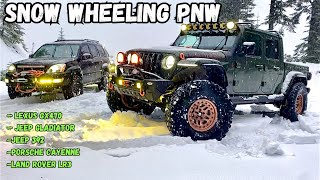 Snow Wheeling In A Snow Blizzard Washington State Jeep Gladiator 392 Lexus GX470 Porsche Cayenne [upl. by Aneeram]