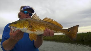 Delacroix Louisiana Inshore Sight Fishing for Redfish [upl. by Eberta]