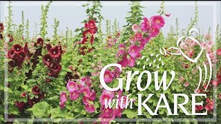 Grow with KARE All about annuals biennials and perennials [upl. by Radie]