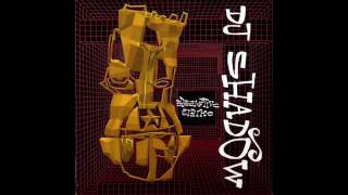 DJ Shadow  What Does Your Soul Look Like Part 3 [upl. by Eiryk]