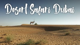 Desert Safari Dubai  Woestijnsafari  Reismixnl [upl. by Bokaj]