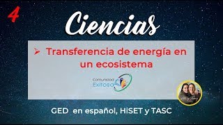 4Ciencias GED en español👍🌟😉Transferencia de energía en ecosistema [upl. by Nylasej745]