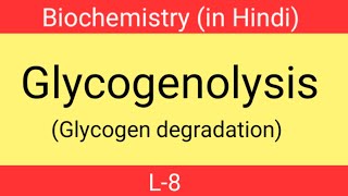 Glycogenolysis in hindi  L8  Glycogen degradation in hindi  Biochemistry 2nd sem [upl. by Carolynn]