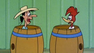 Woody is Wanted  25 Hours of Classic Episodes of Woody Woodpecker [upl. by Odraleba]