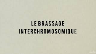 BRASSAGE INTERCHROMOSOMIQUE Gagne des points pour ton bac de SVT avec ce schéma guidé et réalisable [upl. by Neelyad323]