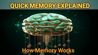 QUICK MEMORY EXPLAINED  Do You Know How Memory Works [upl. by Wiebmer]