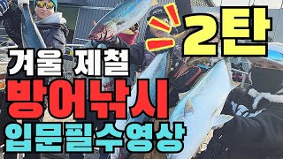 방어지깅낚시 입문자 지역별 선사 정보 및 예약팁amp거제 지깅 조황 [upl. by Eintruoc178]