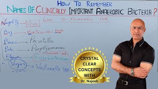 Names Of Clinically Important Anaerobic Bacteria 🦠 [upl. by Sacrod124]