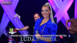 BOJANA GOLUBOVIĆ feat BORKO RADIVOJEVIĆ ORCHESTRA  LUDA SVADBA [upl. by Katuscha]