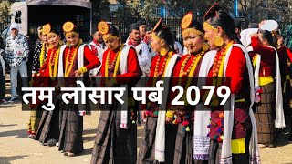 तमु लोसार पर्ब टुडिखेल काठमाडौमा l Tamu Losar 2079 l Gurung Cultural l International Tamu Culture [upl. by Einahpet]