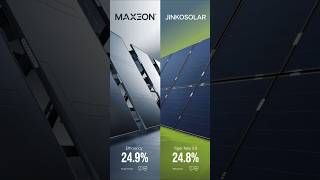 JinkoSolar vs Maxeon Who Wins the Efficiency Battle [upl. by Ambrosi]