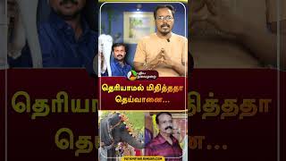 தெரியாமல் மிதித்ததா தெய்வானை  shorts  tiruchendur  elephant  puthiyathalaimuraitv [upl. by Shafer]