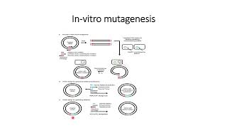 Invitro mutagenesis Code 203 [upl. by Aneele29]