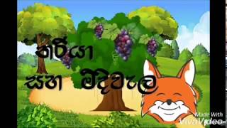 නරියා සහ මිදි පොකුර Nariya Saha Midi Pokura  Sinhala Kids Cartoons [upl. by Bois]