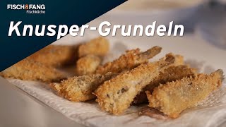 FischKüche KnusperGrundeln mit Jörg Strehlow [upl. by Laroc]