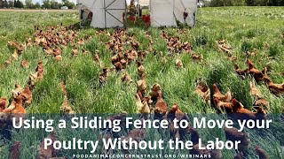 Using a Sliding Fence to Move your Poultry Without the Labor [upl. by Rabush560]