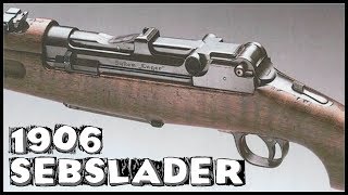 Selbstlader 1906 Shooting In Slow Motion [upl. by Wesle]