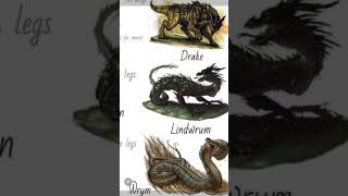 types of dragons lindworm shorts dragon mythology [upl. by Nospmis538]