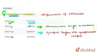 Terminalization is completed in  CLASS 11  CELL CYCLE amp CELL DIVISION  BIOLOGY  Doubtnut [upl. by Annawaj]