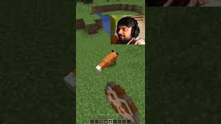 Fox lol moment 😂 minecraft ytshorts [upl. by Anahcra]