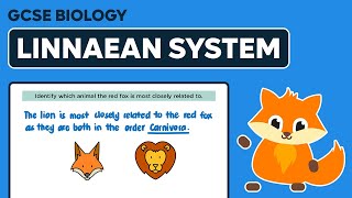 Linnaean System of Classification  GCSE Biology [upl. by Ingelbert950]