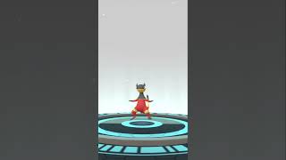 EVOLVING A SHINY HELIOPTILE INTO A SHINY HELIOLISK pokemongo shinypokemon [upl. by Esile314]