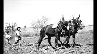 O ALENTEJO DE ANTIGAMENTE [upl. by Farmer441]