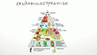 Die Ernährungspyramide  Biologie  Humanbiologie [upl. by Philan]