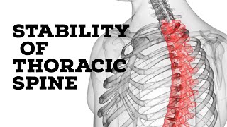 stability of thoracic spine [upl. by Urien428]