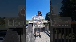 Qtron  TC Electronics Ditto Looper Loop tcelectronic universalaudio loops [upl. by Franni]