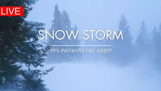 Snow Storm In Forest  247  Winter Storm amp Howling Wind Sounds For Sleeping [upl. by Sandstrom96]