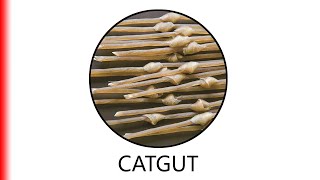 CATGUT [upl. by Saied237]