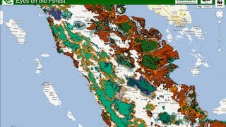 Using Maps to Save Sumatra [upl. by Pega]