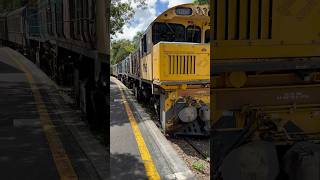 Kuranda Train Rainforest Railway Adventure with beautiful views [upl. by Mafala]