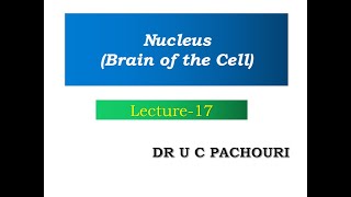 Nucleus Brain of the CellThe Cell Lec  17  Class 11  Target Neet  Dr U C PACHOURI [upl. by Vitek830]