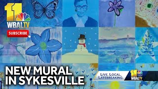 Special tile mural in Sykesville includes artists from around the world [upl. by Tremann]