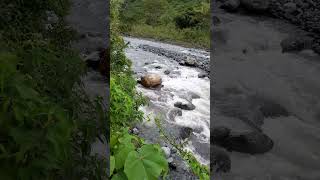 Popular Rio Guaduas en el sector Alto Guaduas de El Carmen de Atrato Chocó Colombia [upl. by Ule]