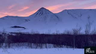 91 Dempster Highway  Walka Trwa [upl. by Rahsab989]