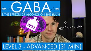 GABA  The Inhibitory Neurotransmitter  Alcohol in the Brain Level 3  Advanced [upl. by Joacimah765]