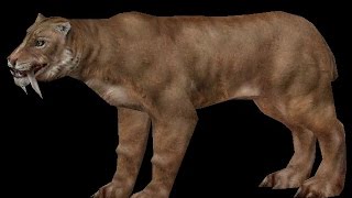 National Geographic Hyenadon Versus Smilodon [upl. by Merkle73]