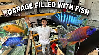 BUYING FISH OUT OF A GARAGE [upl. by Alahcim]