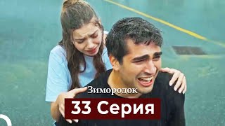 Зимородок 33 Cерия Русский дубляж [upl. by Haymo141]